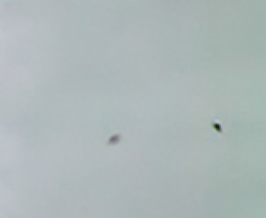 Immagine 6 - ufo volo Milano Londra