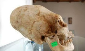 Crani di Paracas