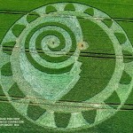 Crop Circle nei campi del Wiltshire