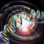 L'innesto del Gene che ha modificato il Dna umano