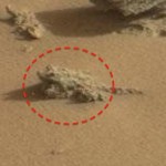 Curiosity, una rana su Marte?