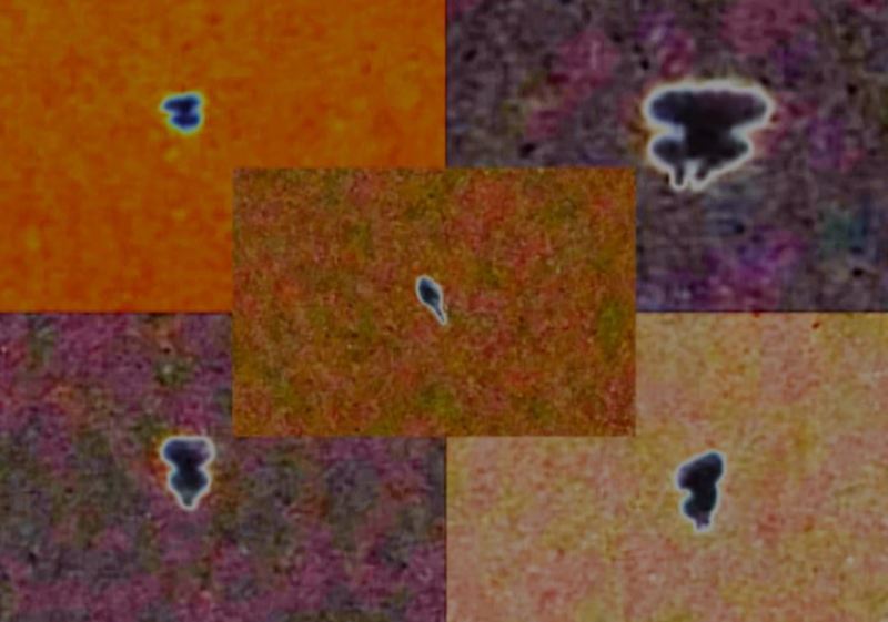 Fig. 7. Un bel collage di immagini dell'ufo di Salerno