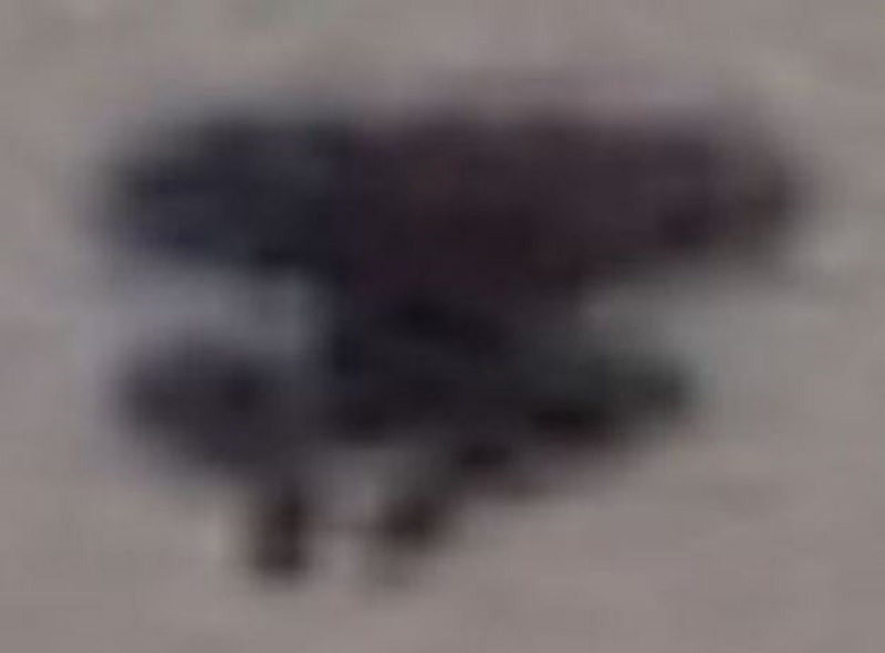 Fig. 2. Ufo Salerno. Altra immagine  dell'enigmatico oggetto.