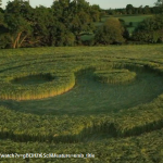 Il bellissimo cerchio nel grano dello Wiltshire